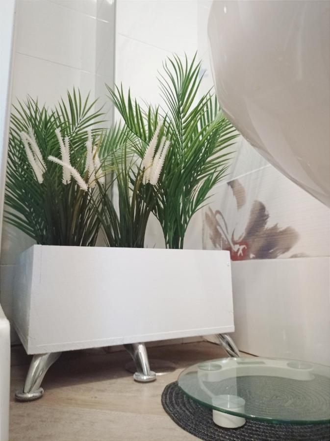 로마 Domus Pio XI B&B 외부 사진